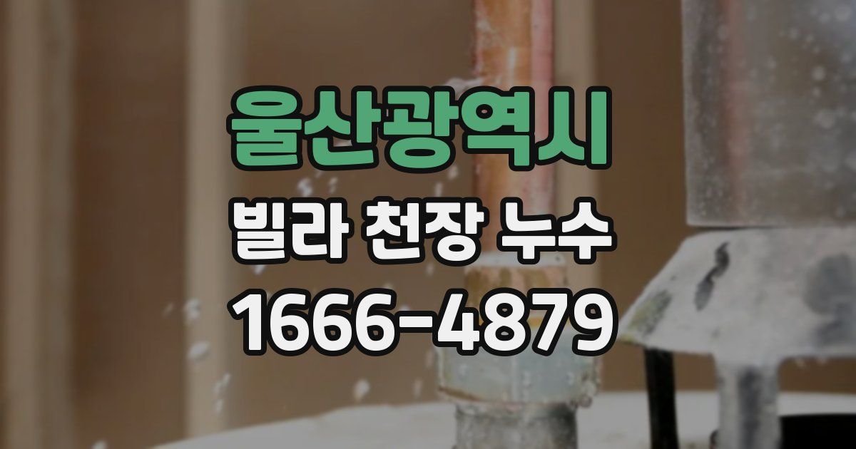 울산광역시 빌라 천장 누수