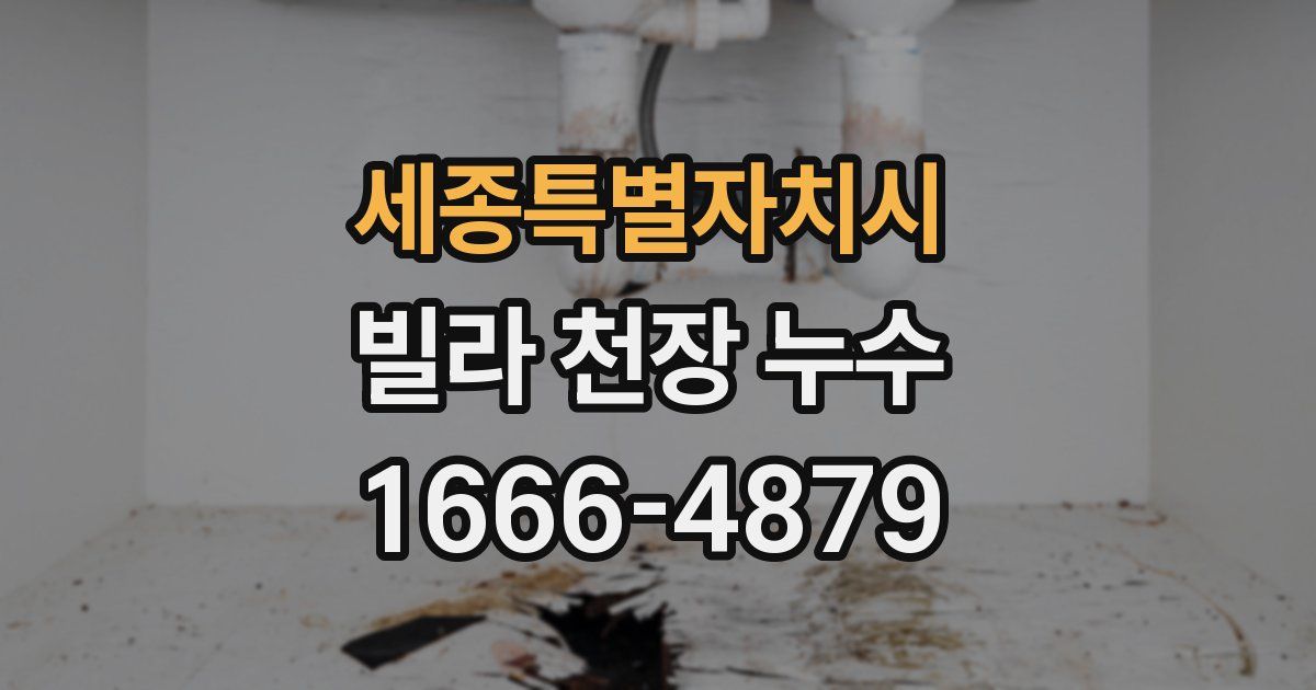 세종특별자치시 빌라 천장 누수