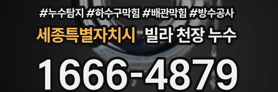 세종특별자치시 빌라 천장 누수