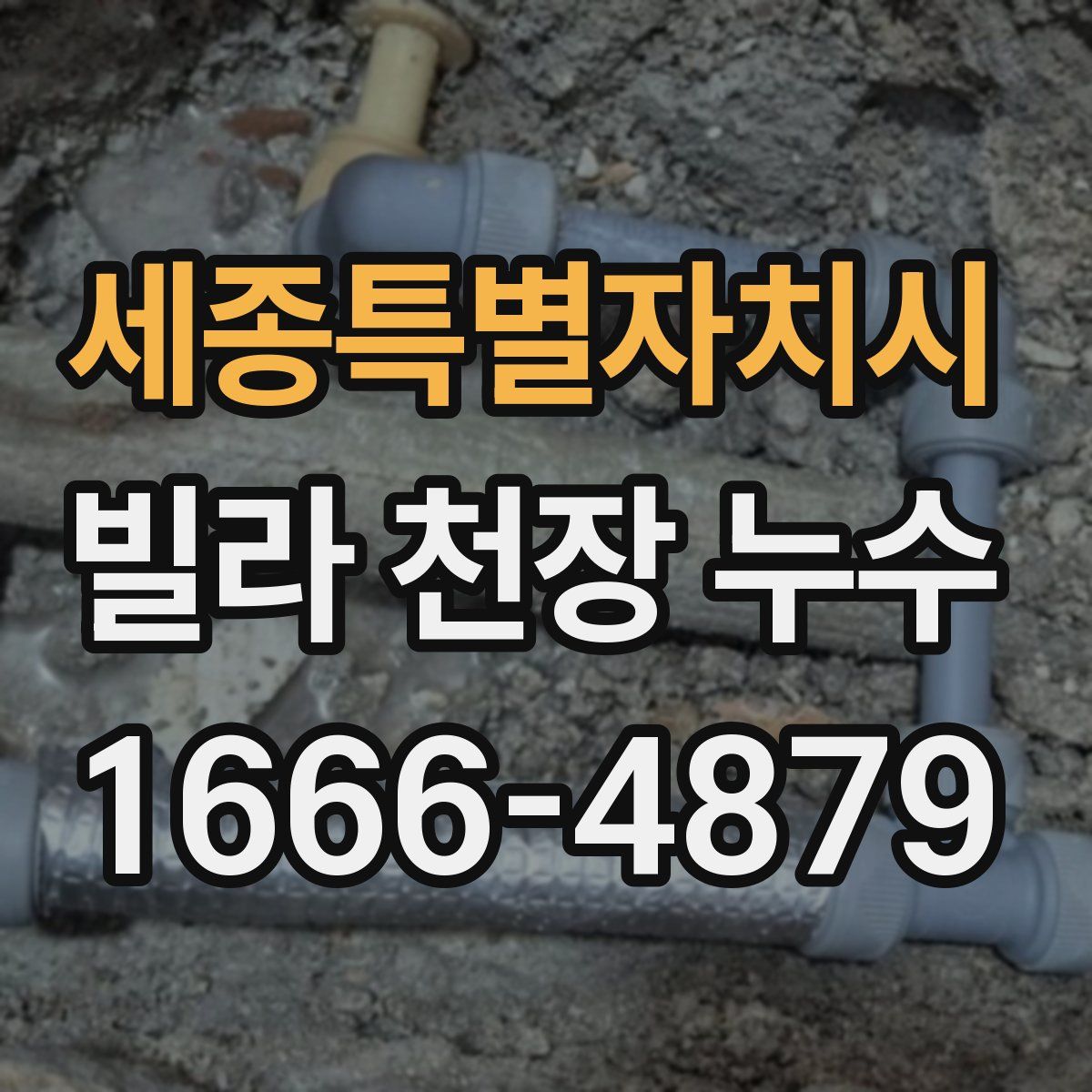 세종특별자치시 빌라 천장 누수