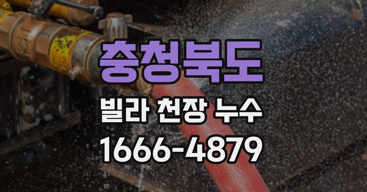 충청북도 빌라 천장 누수