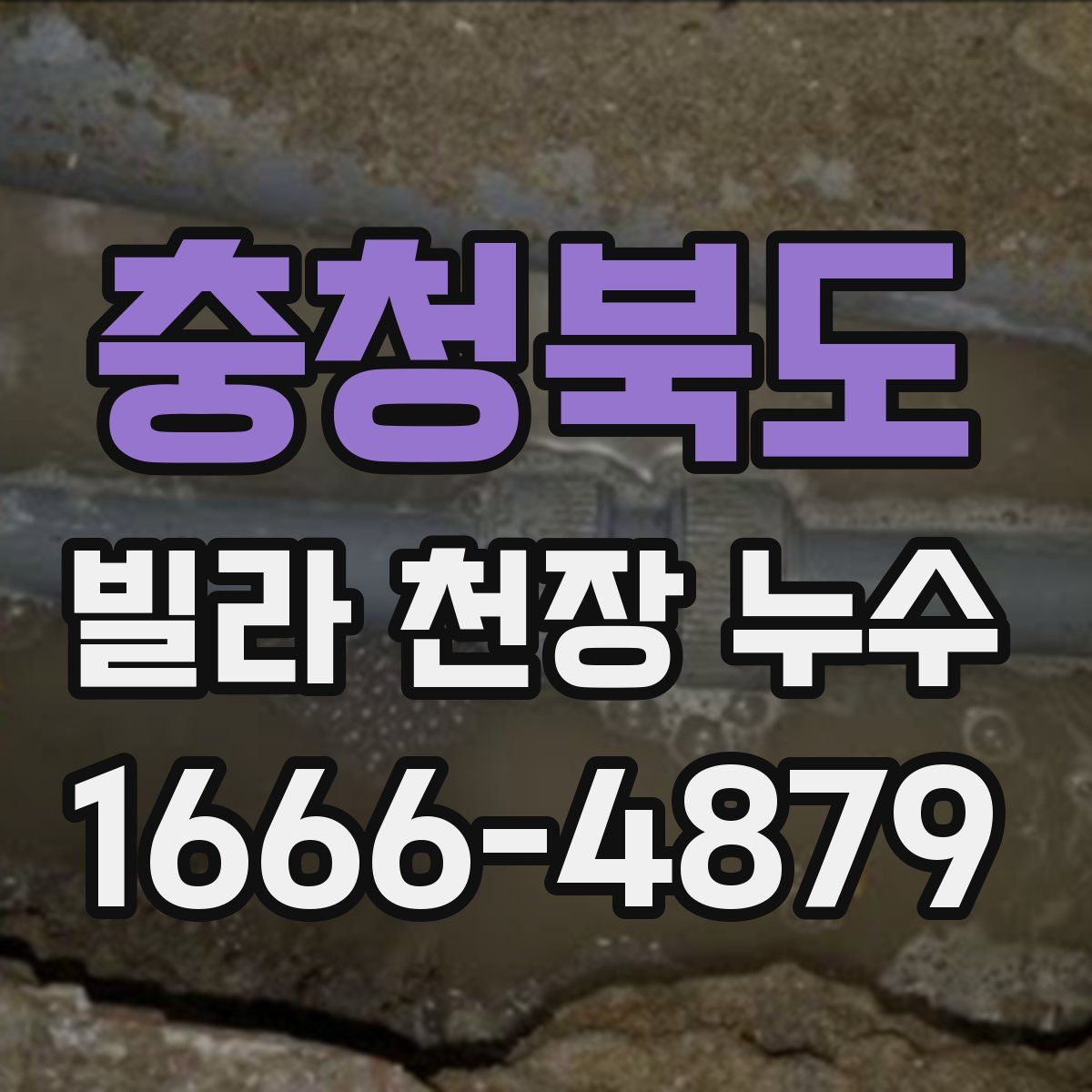 충청북도 빌라 천장 누수