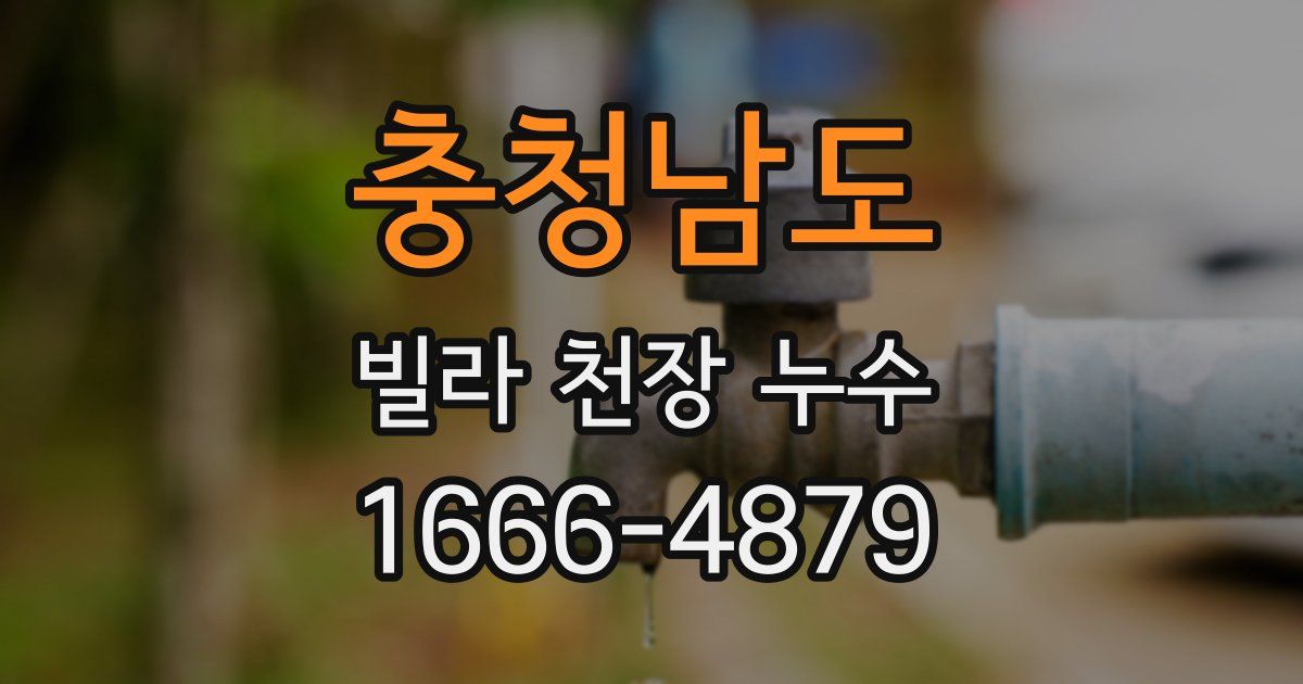 충청남도 빌라 천장 누수