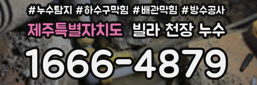 제주특별자치도 빌라 천장 누수