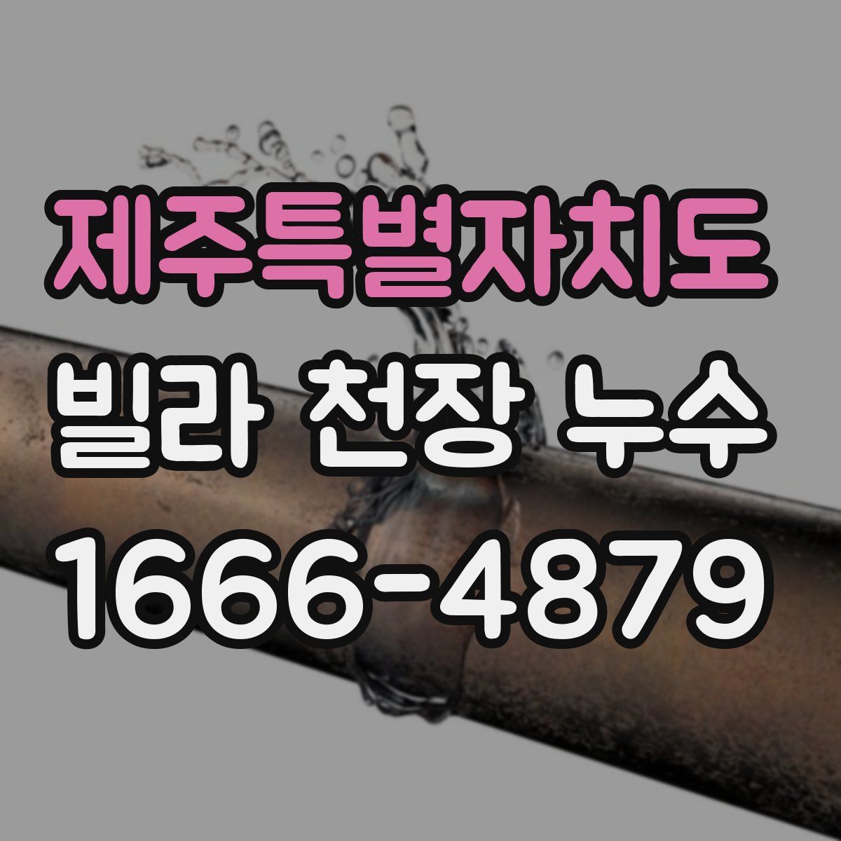제주특별자치도 빌라 천장 누수
