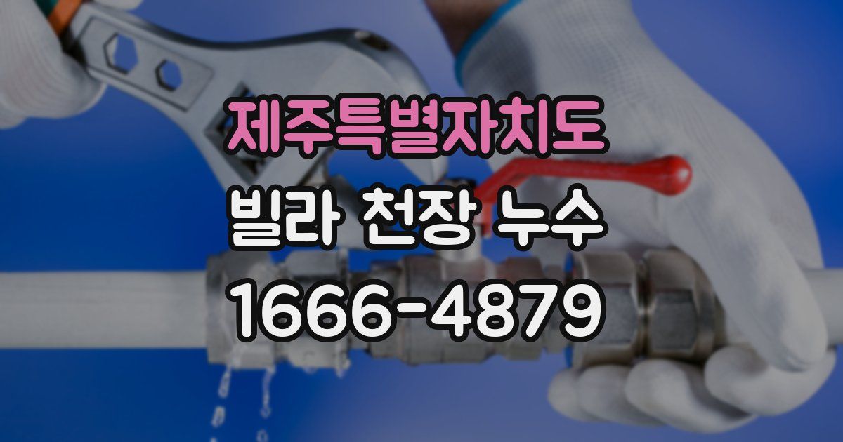 제주특별자치도 빌라 천장 누수