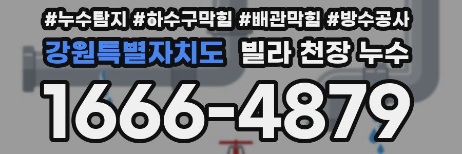 강원특별자치도 빌라 천장 누수