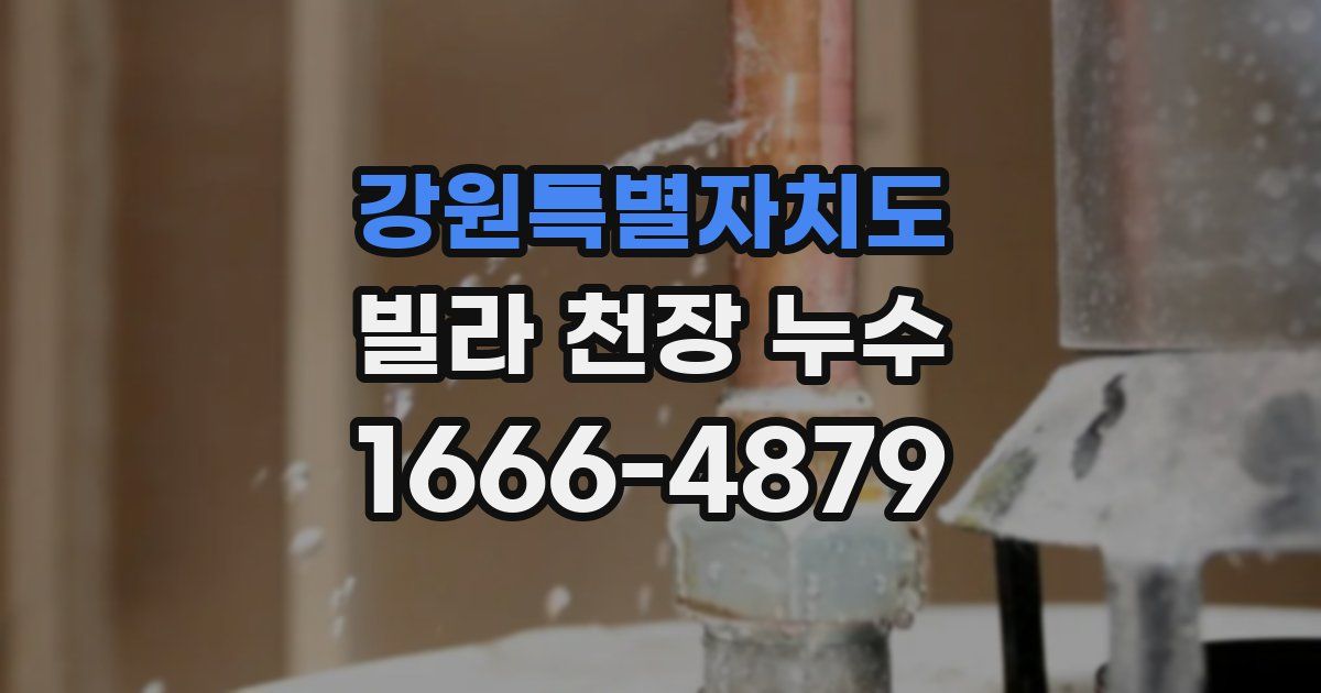 강원특별자치도 빌라 천장 누수