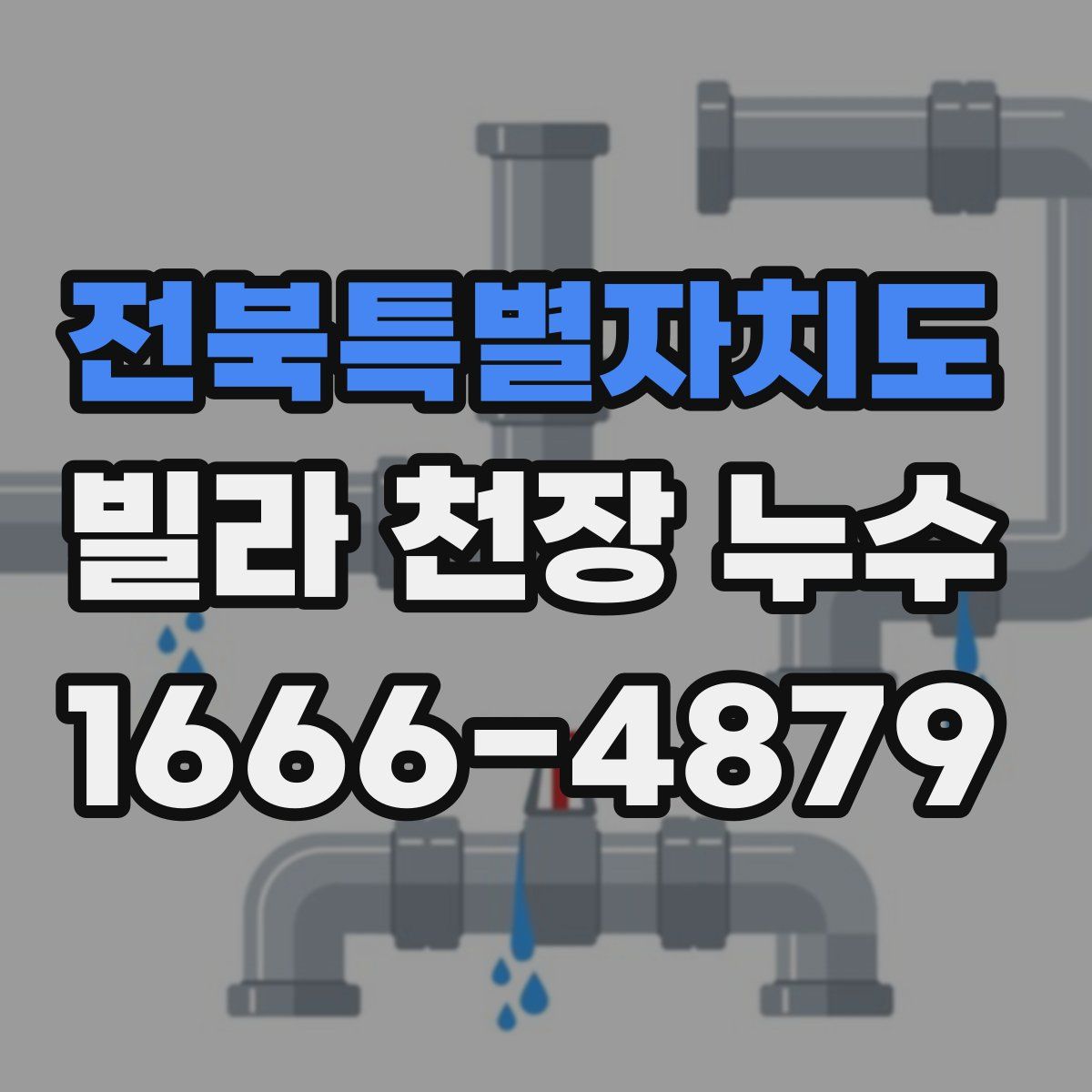 전북특별자치도 빌라 천장 누수