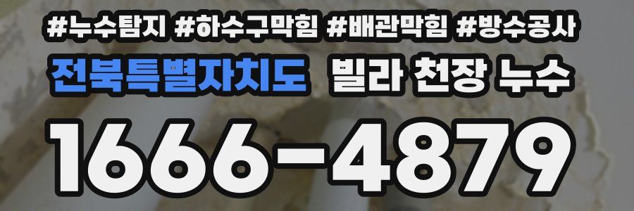 전북특별자치도 빌라 천장 누수