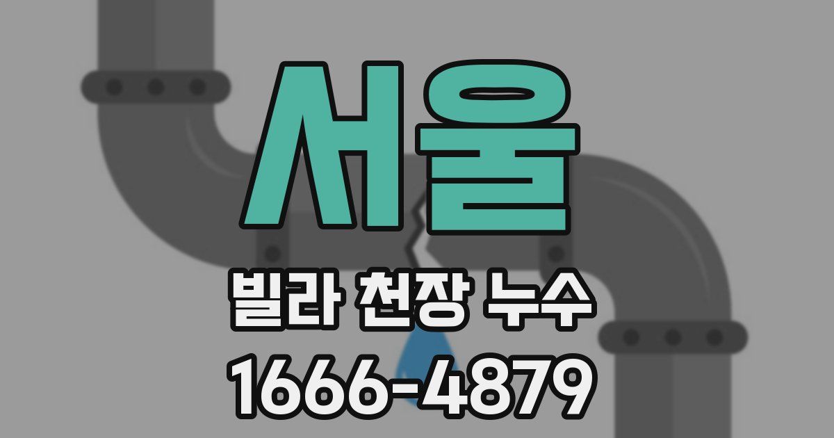 서울 빌라 천장 누수