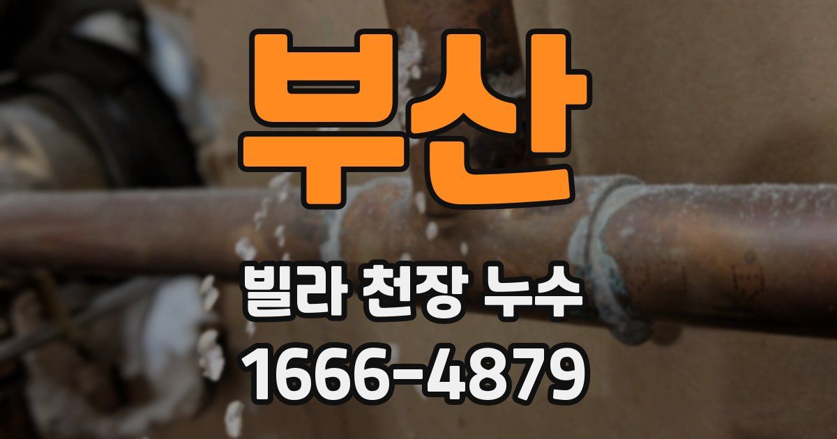 부산 빌라 천장 누수
