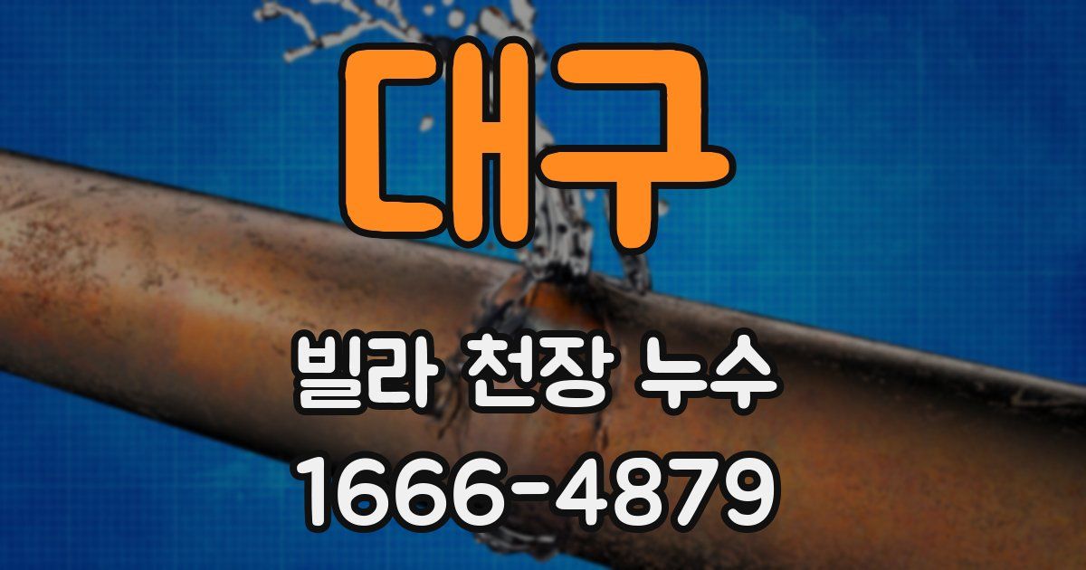 대구 빌라 천장 누수