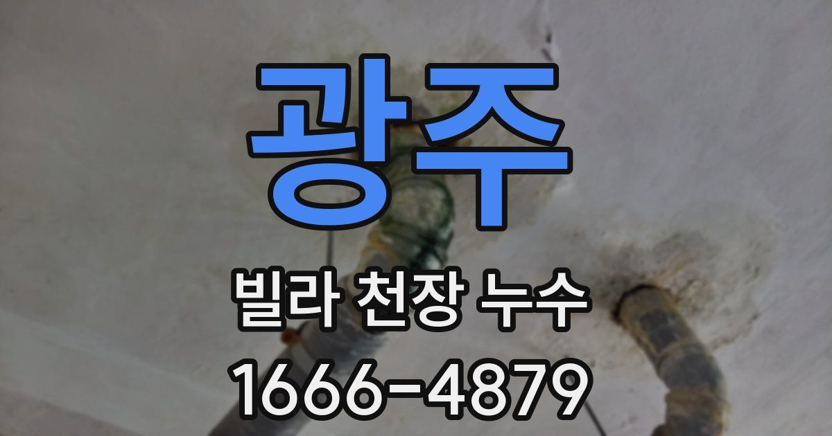 광주 빌라 천장 누수