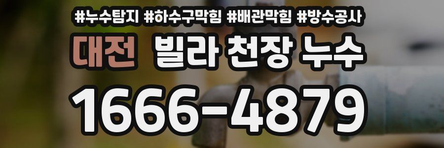 대전 빌라 천장 누수