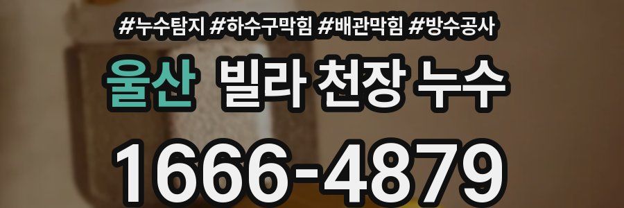 울산 빌라 천장 누수