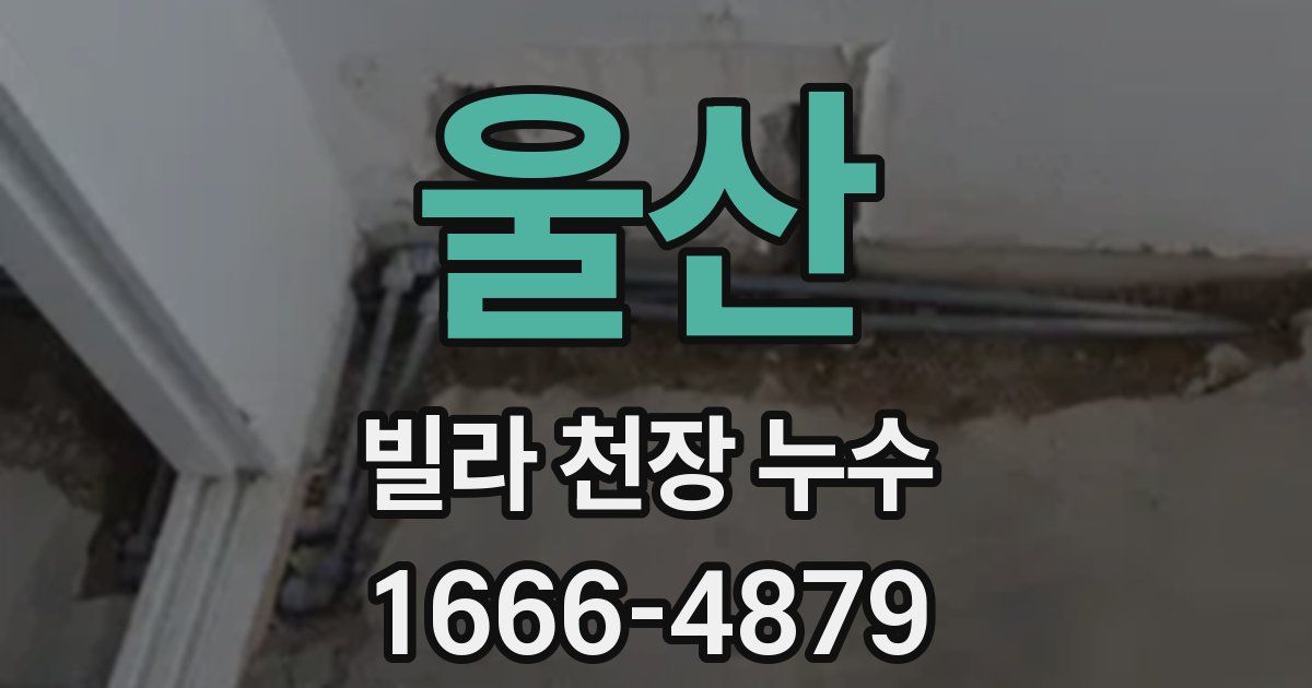 울산 빌라 천장 누수