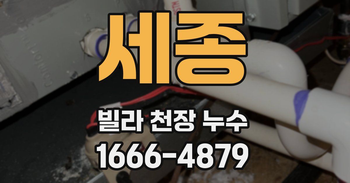 세종 빌라 천장 누수