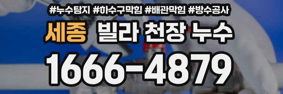 세종 빌라 천장 누수