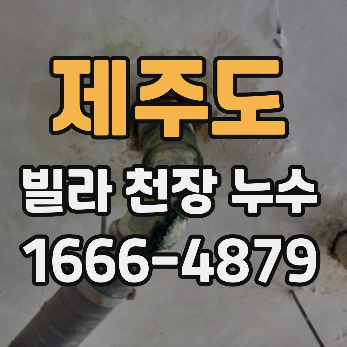 제주도 빌라 천장 누수