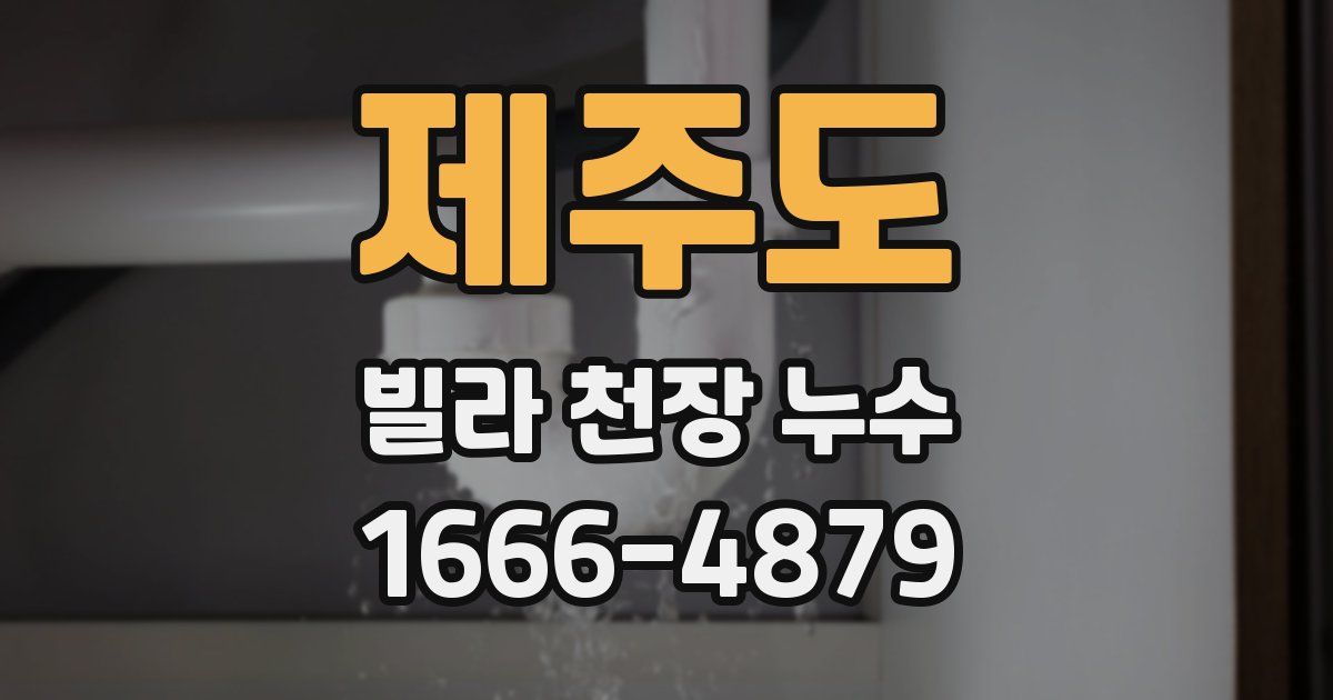 제주도 빌라 천장 누수
