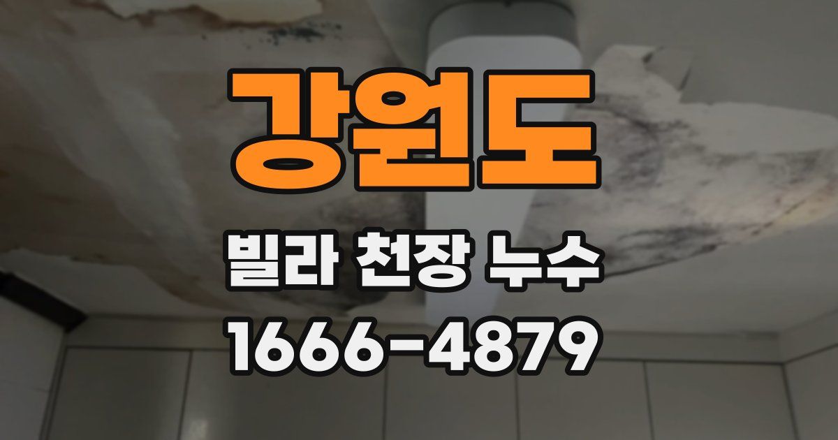 강원도 빌라 천장 누수