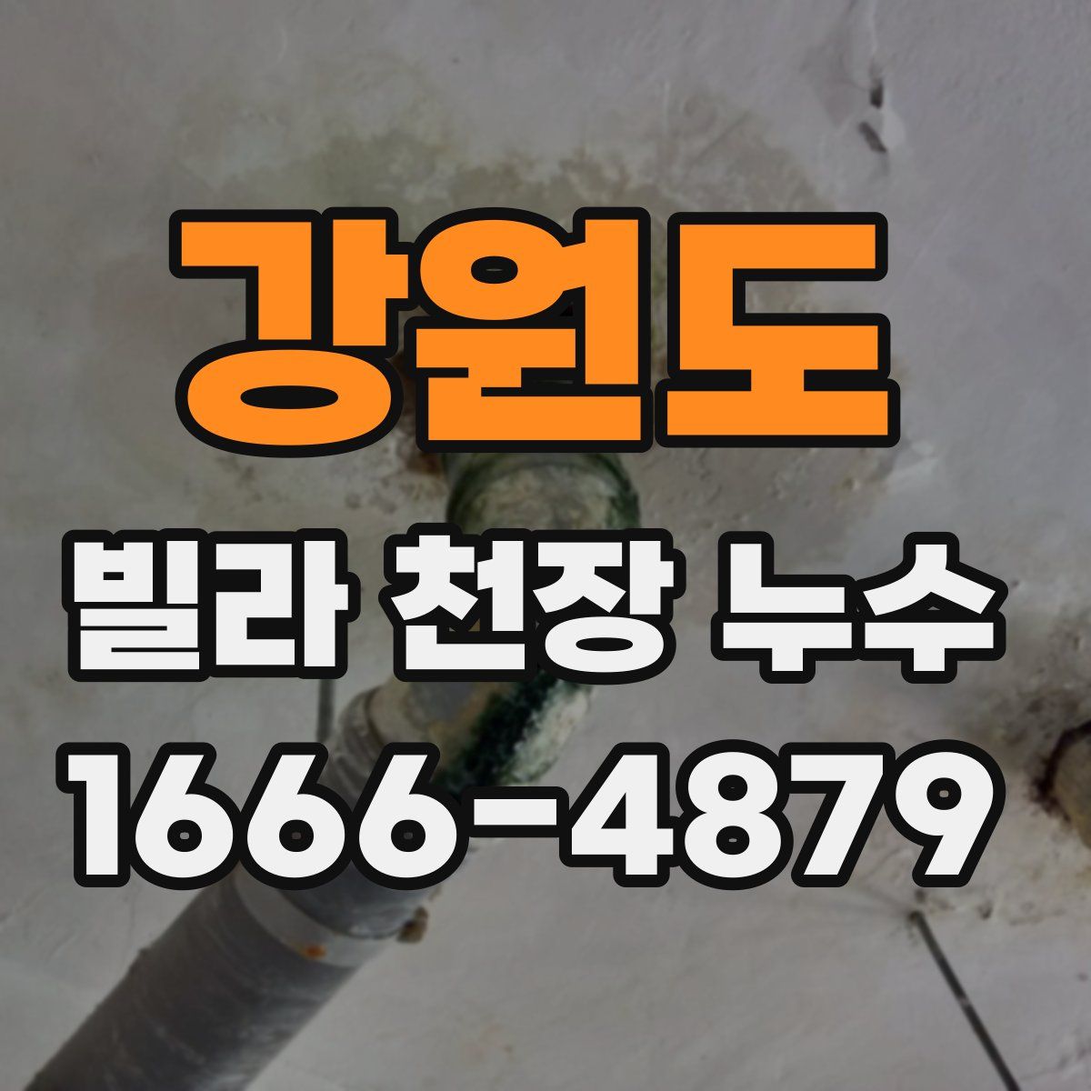 강원도 빌라 천장 누수