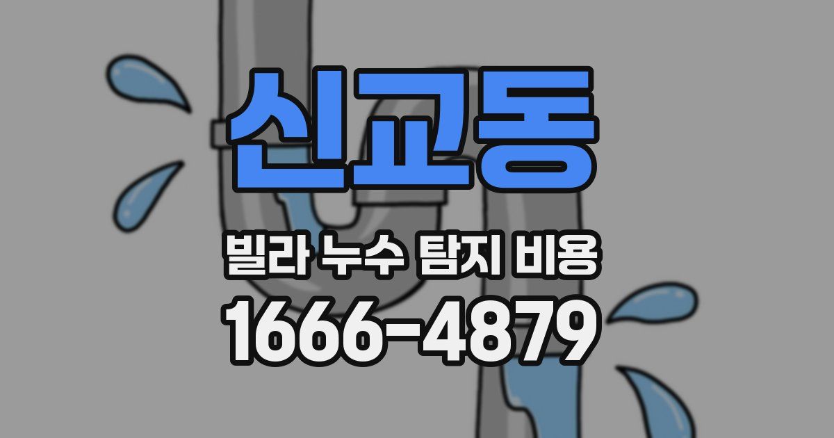 신교동 빌라 누수 탐지 비용