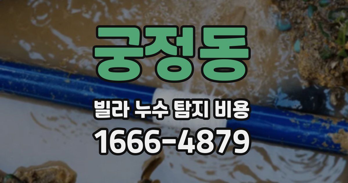궁정동 빌라 누수 탐지 비용
