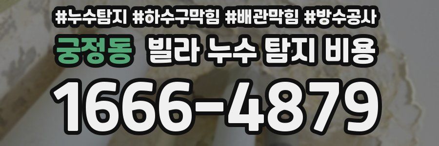 궁정동 빌라 누수 탐지 비용