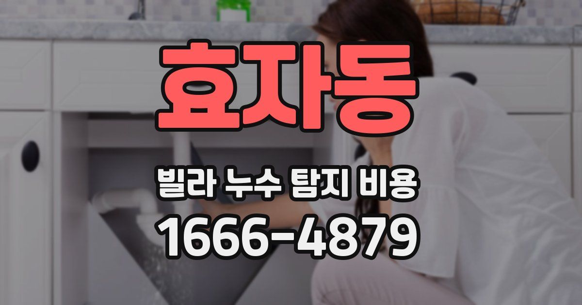 효자동 빌라 누수 탐지 비용
