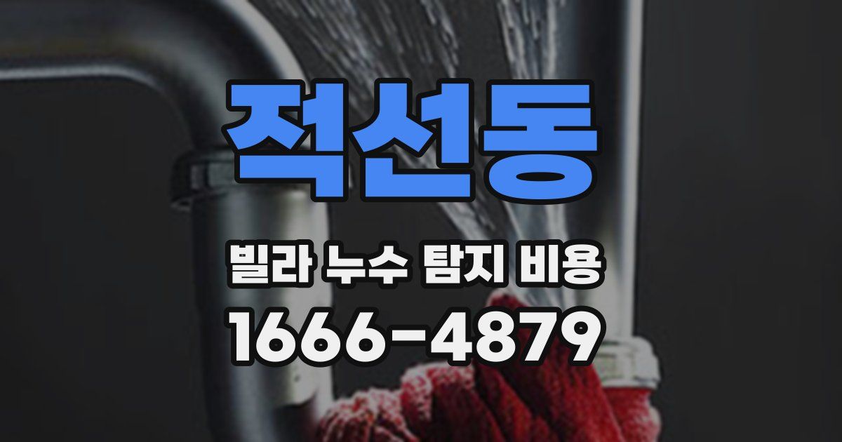 적선동 빌라 누수 탐지 비용