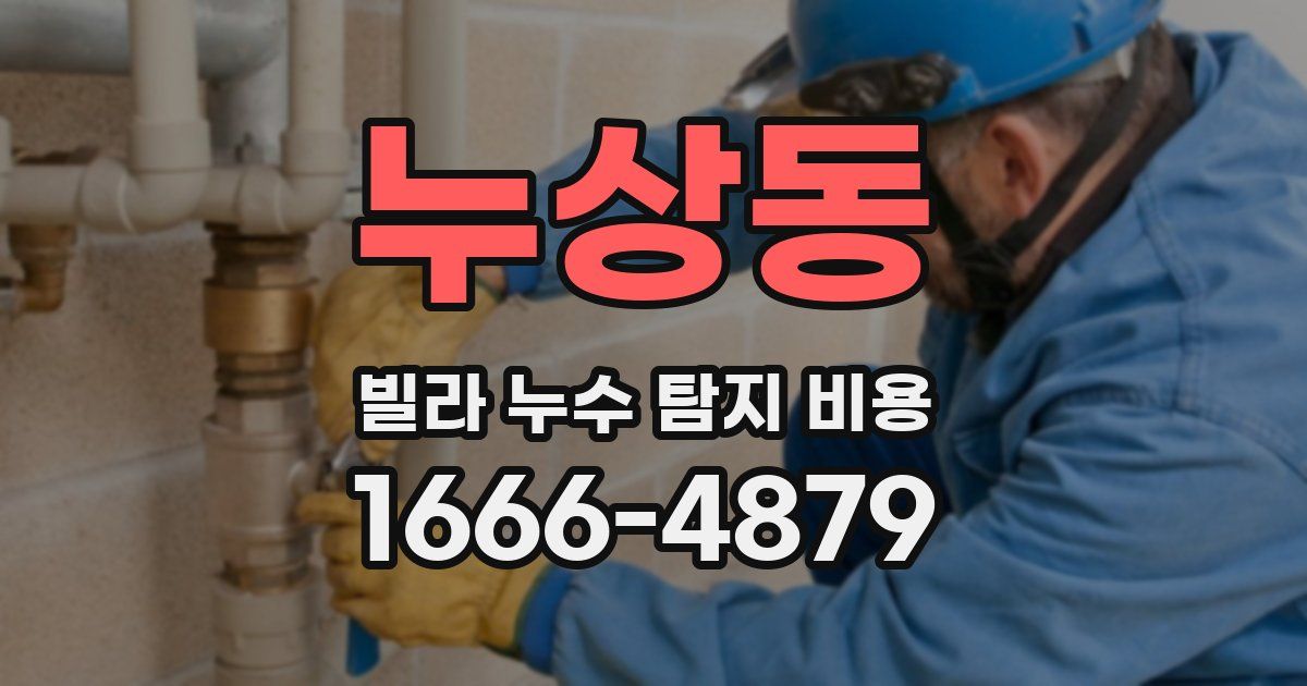 누상동 빌라 누수 탐지 비용