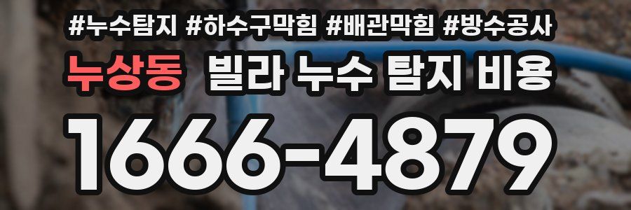 누상동 빌라 누수 탐지 비용