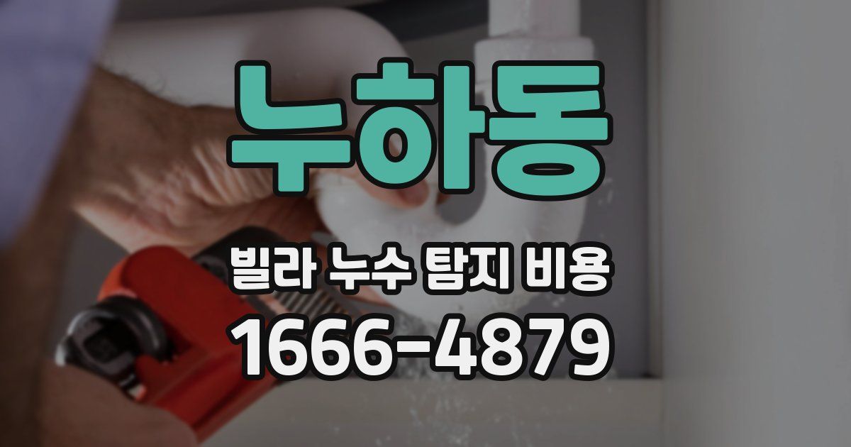 누하동 빌라 누수 탐지 비용