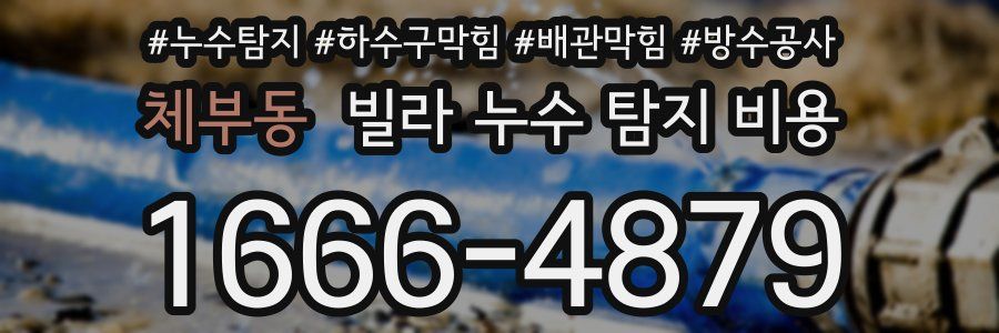 체부동 빌라 누수 탐지 비용