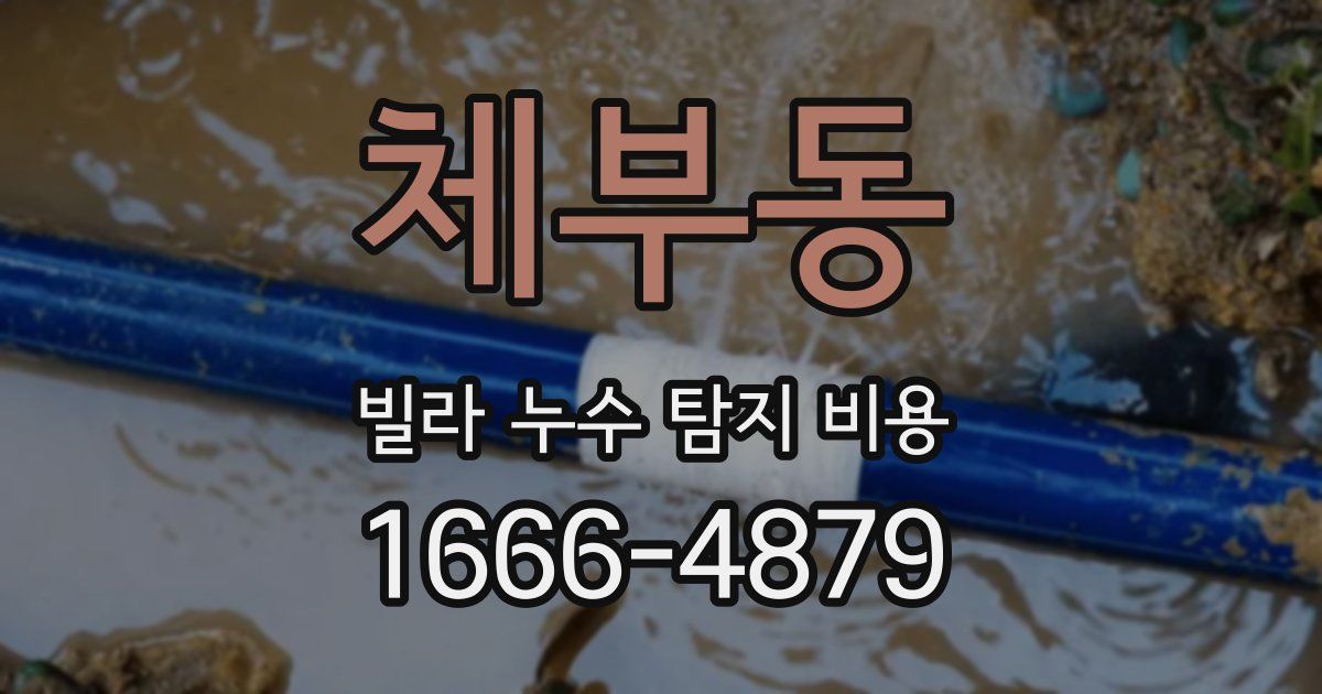 체부동 빌라 누수 탐지 비용
