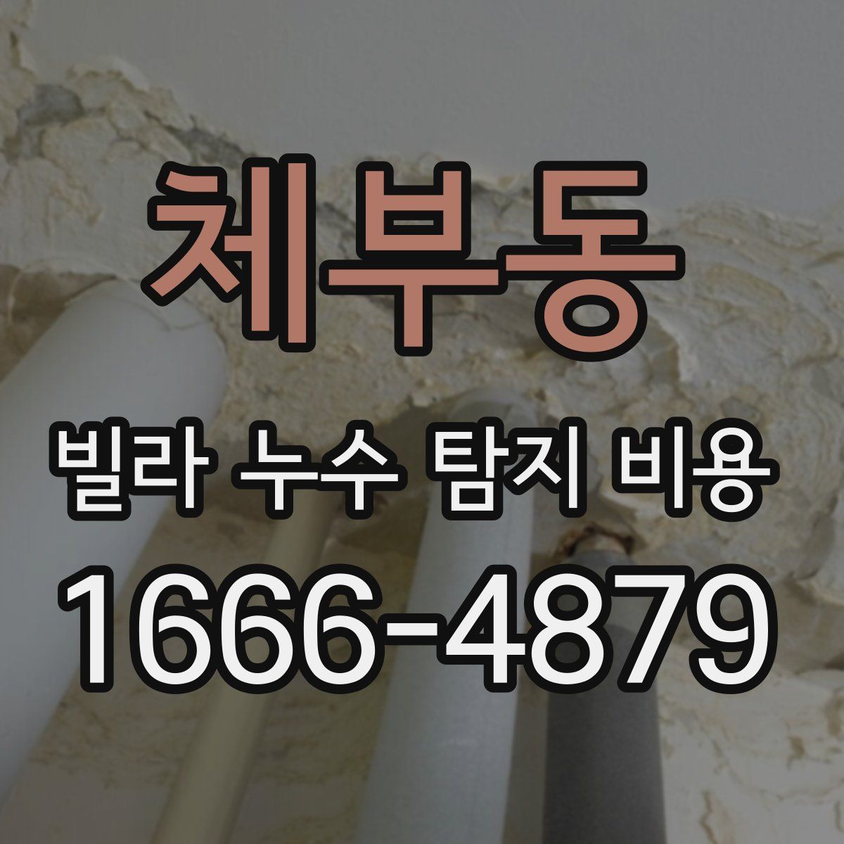 체부동 빌라 누수 탐지 비용