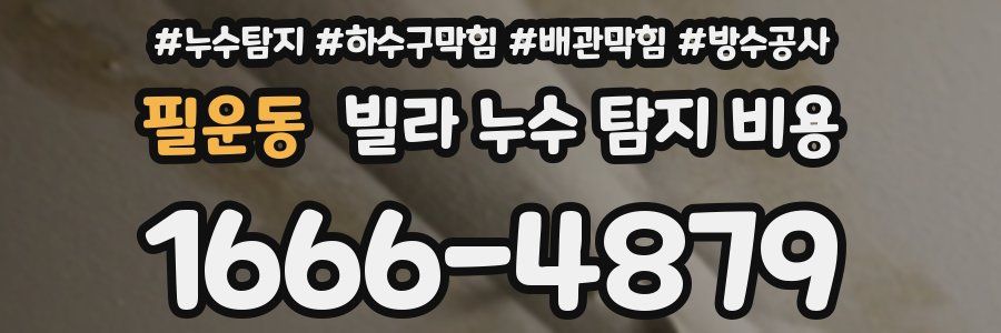 필운동 빌라 누수 탐지 비용