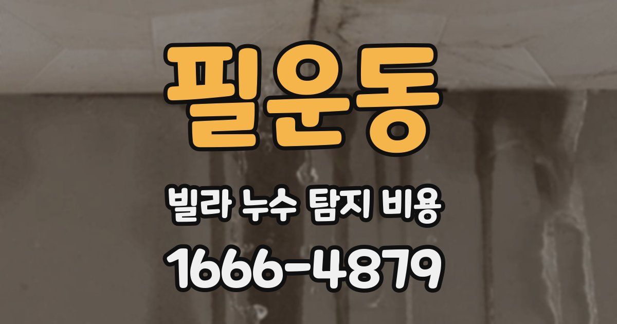 필운동 빌라 누수 탐지 비용