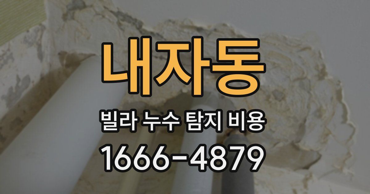내자동 빌라 누수 탐지 비용