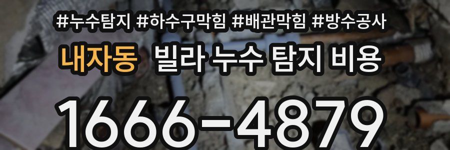 내자동 빌라 누수 탐지 비용