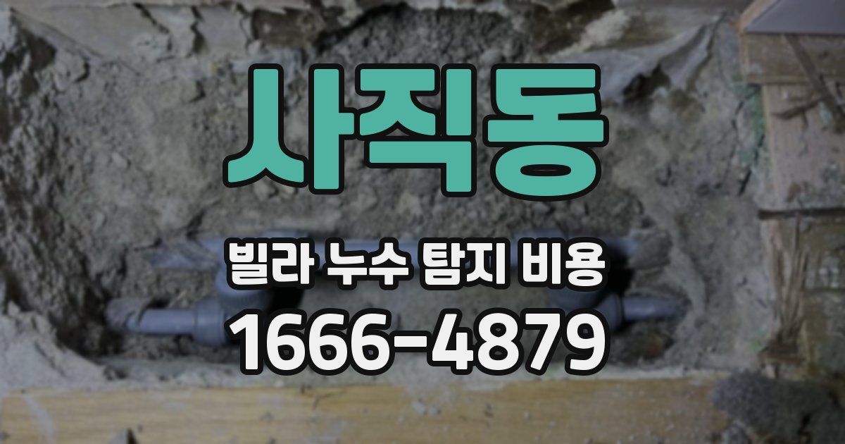 사직동 빌라 누수 탐지 비용
