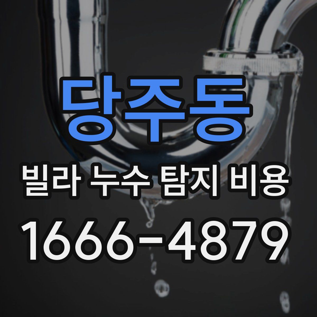 당주동 빌라 누수 탐지 비용