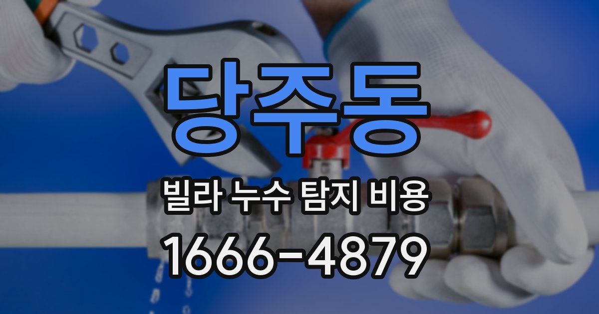 당주동 빌라 누수 탐지 비용