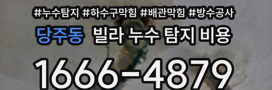당주동 빌라 누수 탐지 비용