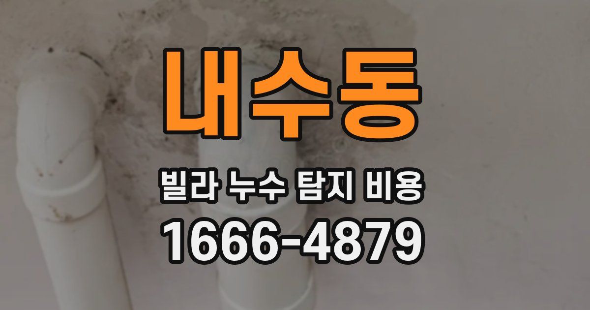 내수동 빌라 누수 탐지 비용