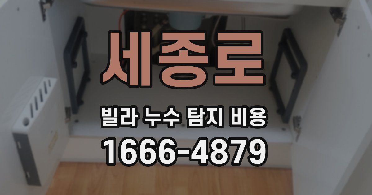 세종로 빌라 누수 탐지 비용