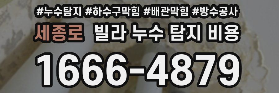 세종로 빌라 누수 탐지 비용