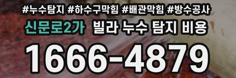 신문로2가 빌라 누수 탐지 비용